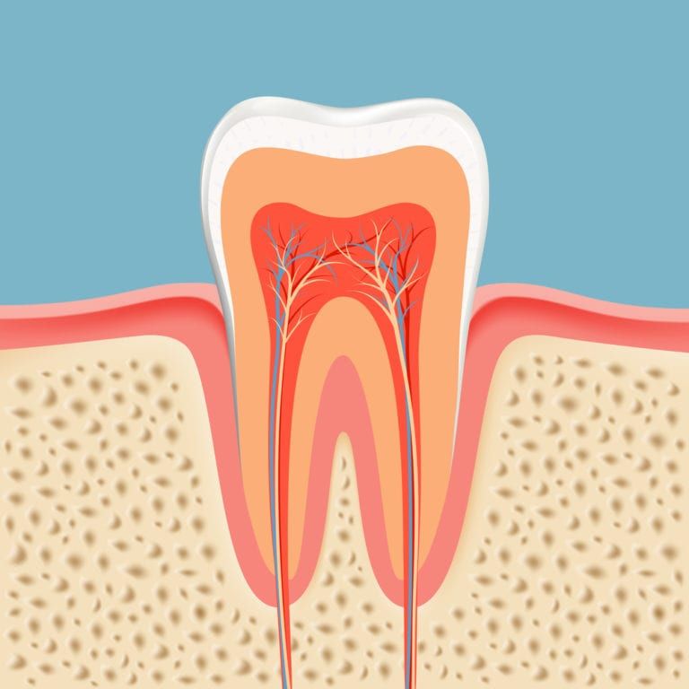 Family and cosmetic dentistry